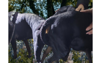 07.02.2026 mit Beschriftung