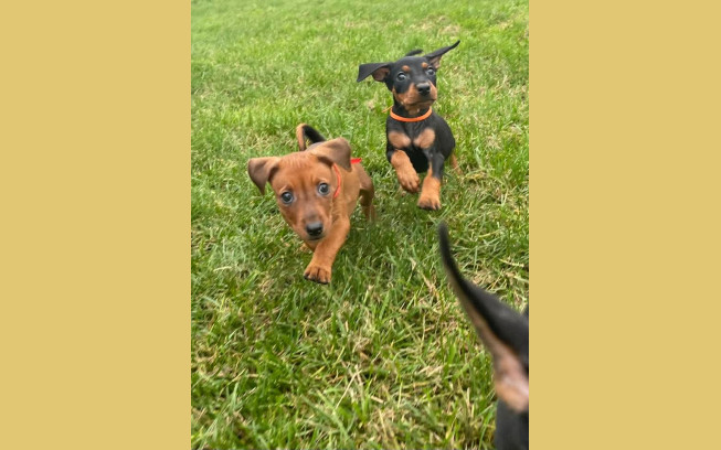 FB IMG 1760283459463