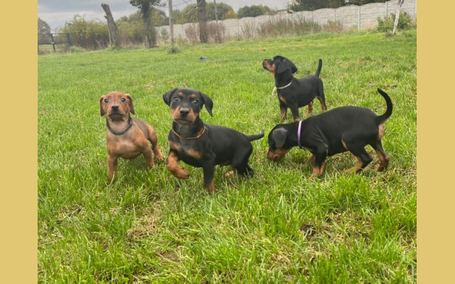 FB IMG 1760283479436