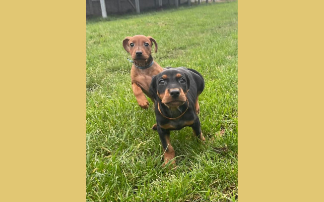 FB IMG 1760283503663