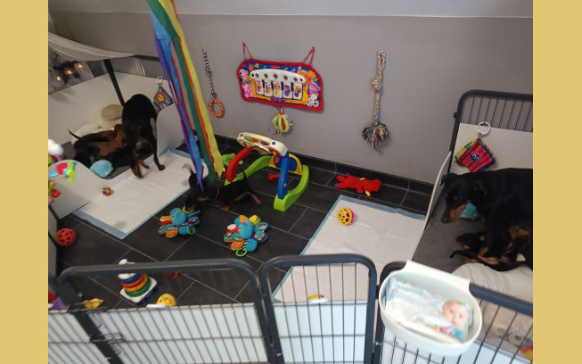 IMG 20250812 WA0022