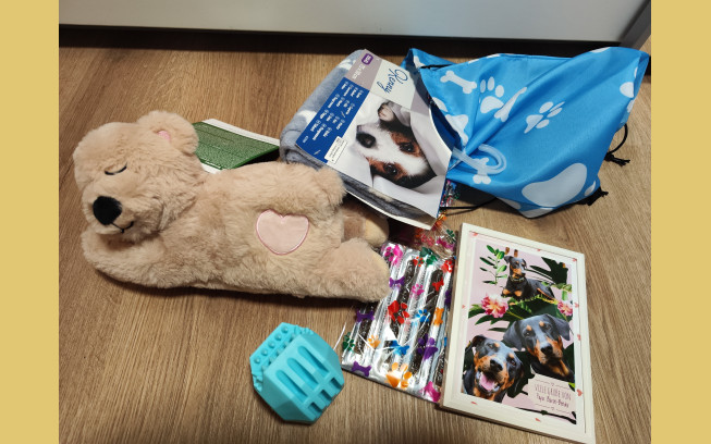 IMG 20251122 162752 1