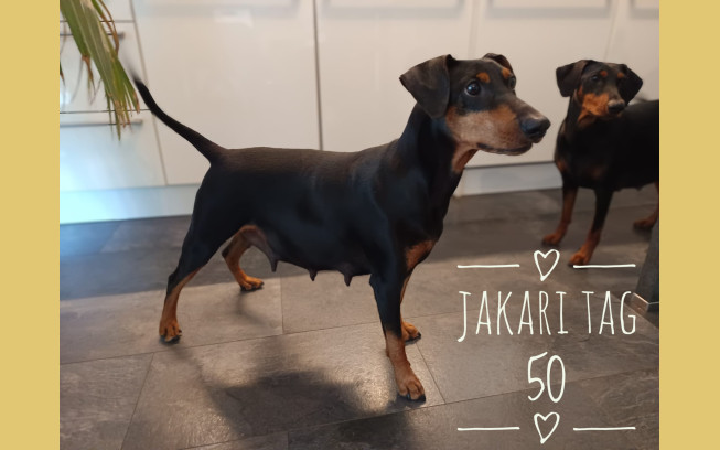 Jakari und Kaylee