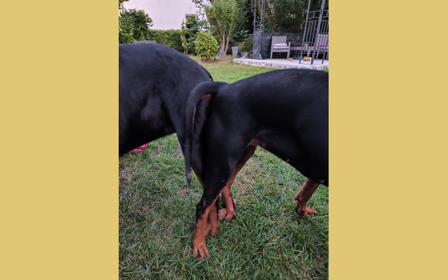 trashed 1759560732 IMG 20250903 195623